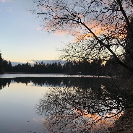 Waldhaus Hahnenklee Daire Goslar Dış mekan fotoğraf